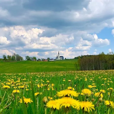 Wellness & Lipno - Hotel 4*