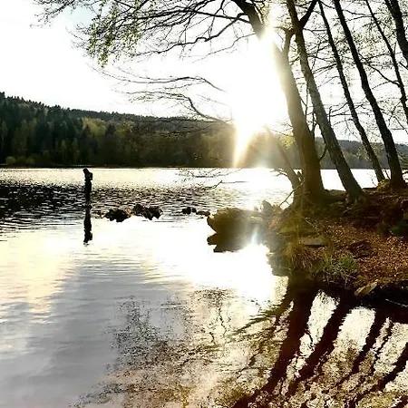 Wellness & Lipno - Hotel 4*