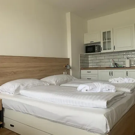 Hotel Wellness & Lipno - Frymburk