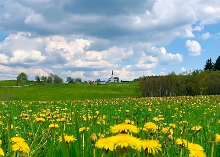 Wellness & Lipno - Hotel 4*