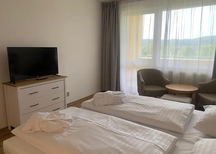 Wellness & Lipno - 4*