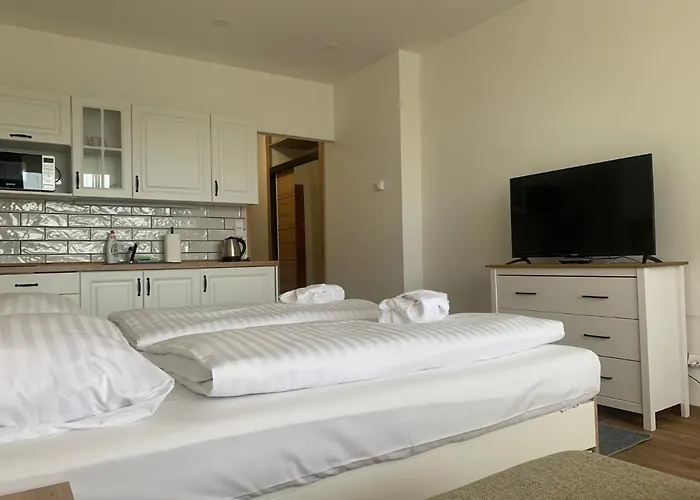 Wellness & Lipno - 4* Frymburk
